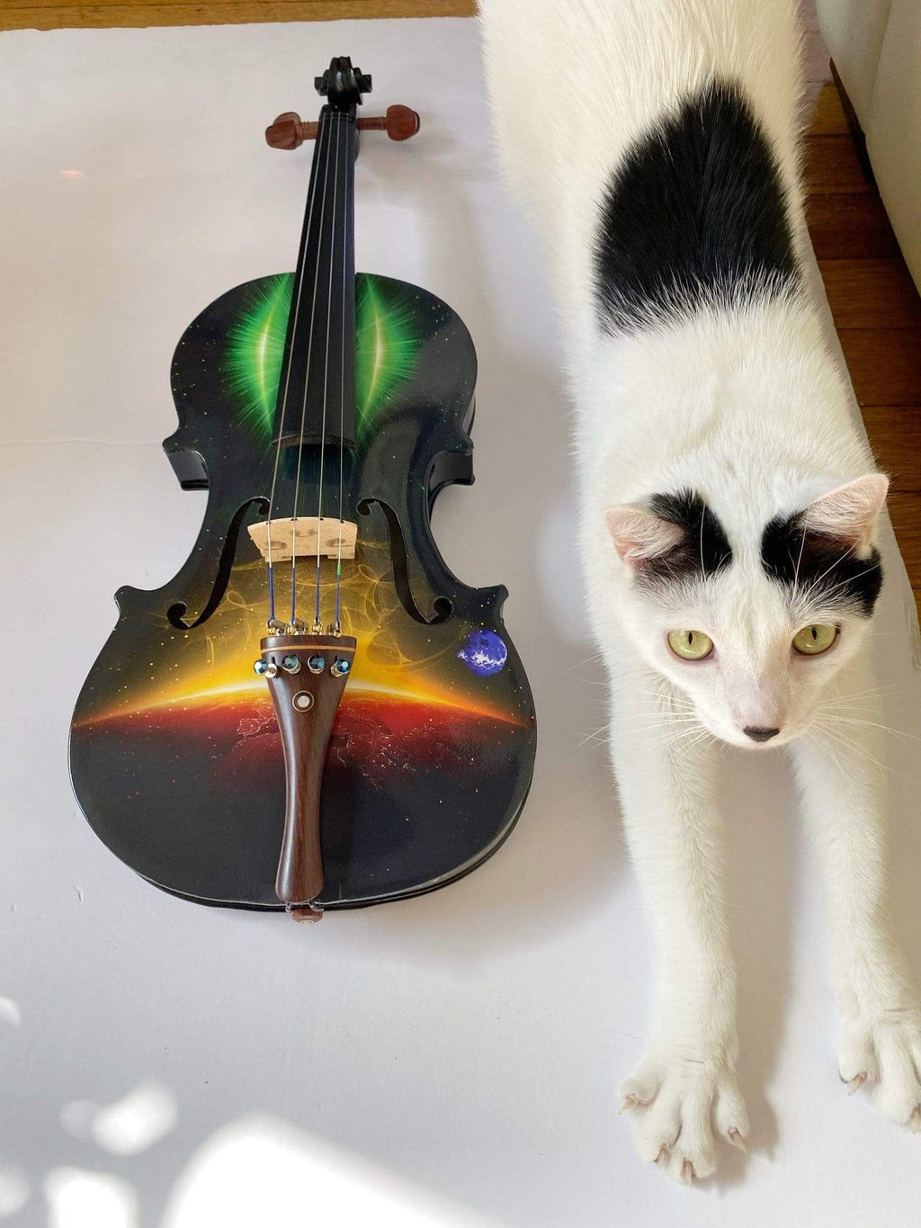 Rozanna's Galaxy Ride Deluxe Violin Outfit